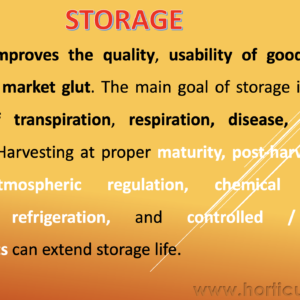 Storage of Fruits and Vegetables PPT